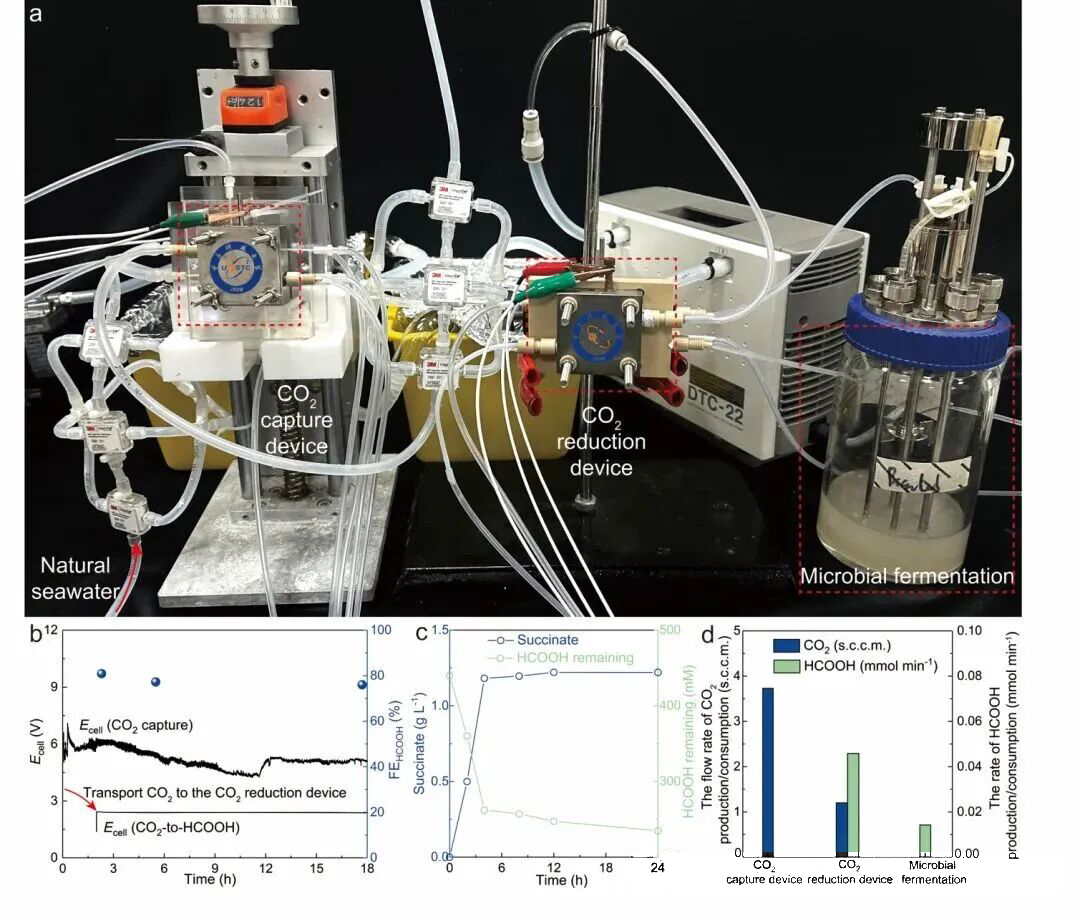 1760085604312485.jpg 02.jpg